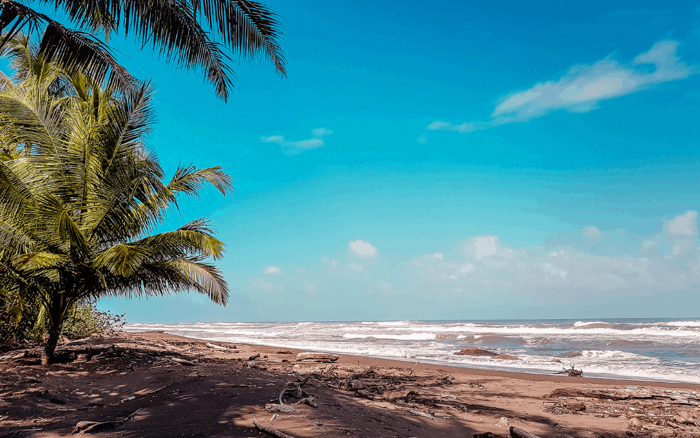 tortuguero - caribbean coast