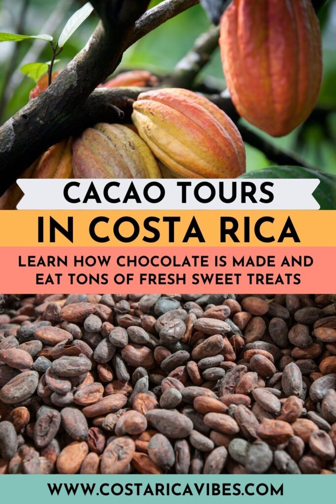 Costa Rica Chocolate Tours - A Fun Activity for All Ages