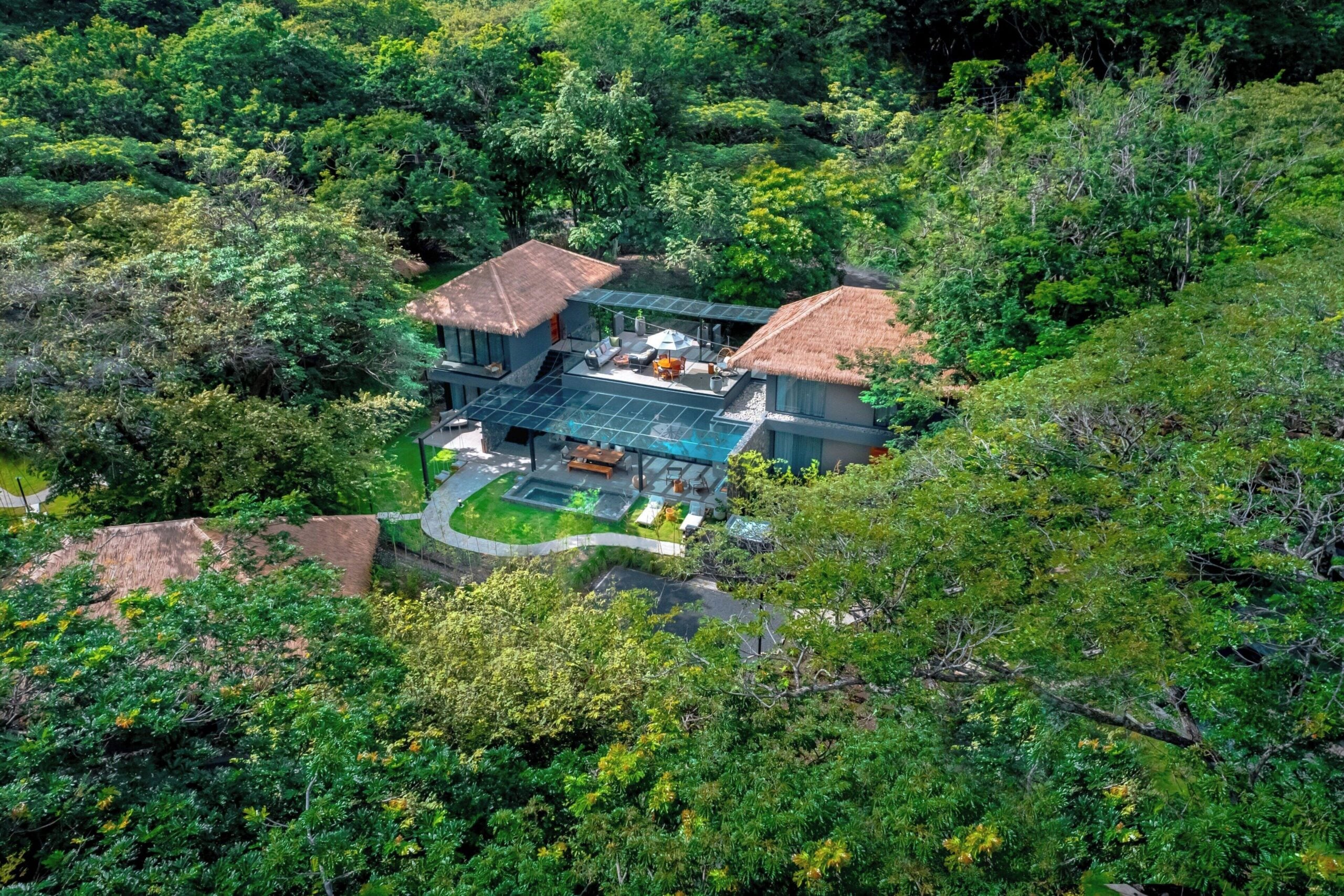 Costa Rica Coffee Tours: Best Farms to Visit Across the Country