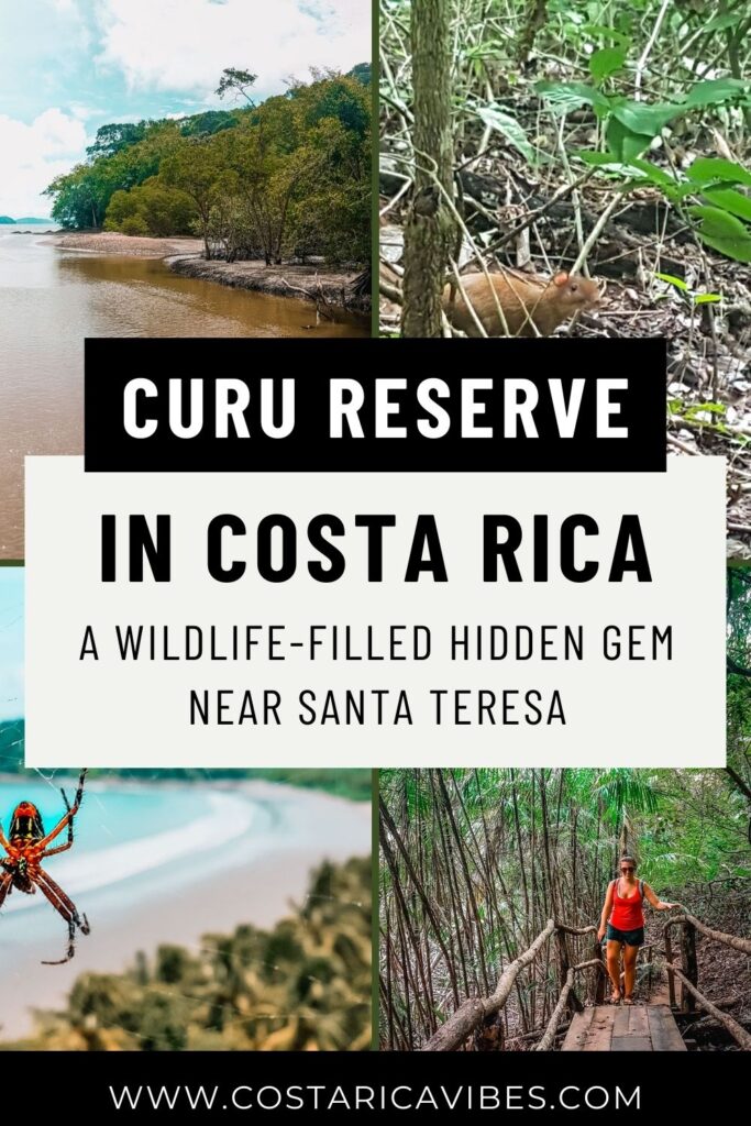 Curu Wildlife Refuge in Costa Rica: A Flora and Fauna Paradise