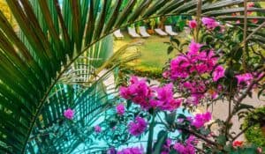 10 Best Hotels in Samara, Costa Rica: All Budgets