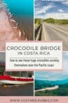 Rio Tarcoles: Visit Costa Rica’s Crocodile Bridge