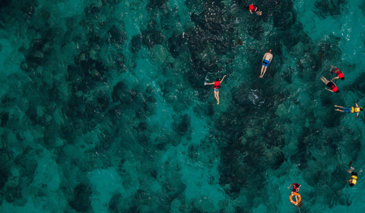 The 10 Best Spots for Snorkeling in Costa Rica