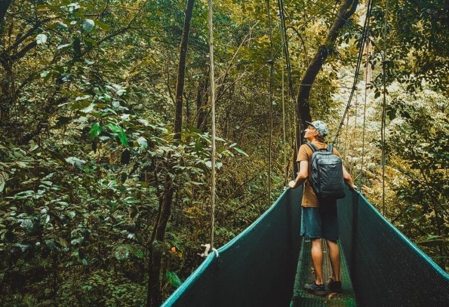 hanging bridge