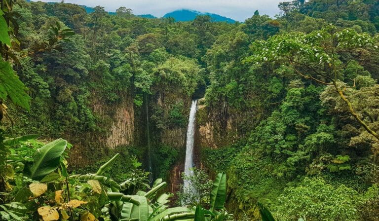 catarata del toro waterfall