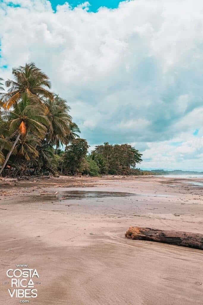 26 Fun Things to Do in Jaco Costa Rica