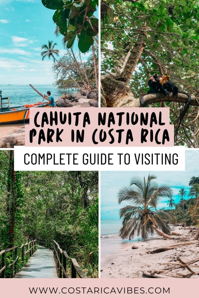 Cahuita National Park in Costa Rica: The Best Visitors Guide
