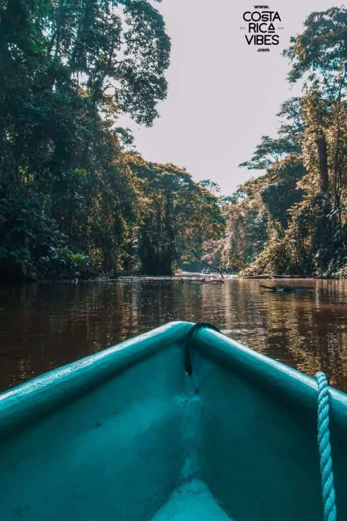 tortuguero costa rica