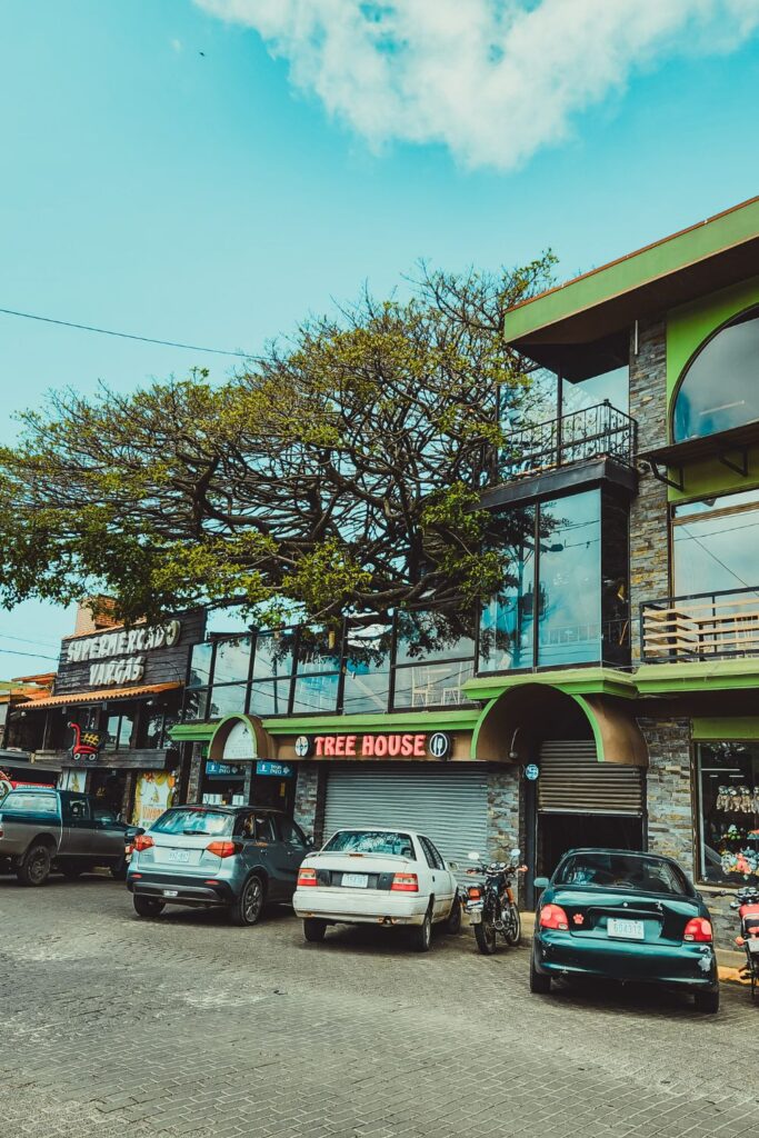 The 16 Best Restaurants in Monteverde, Costa Rica