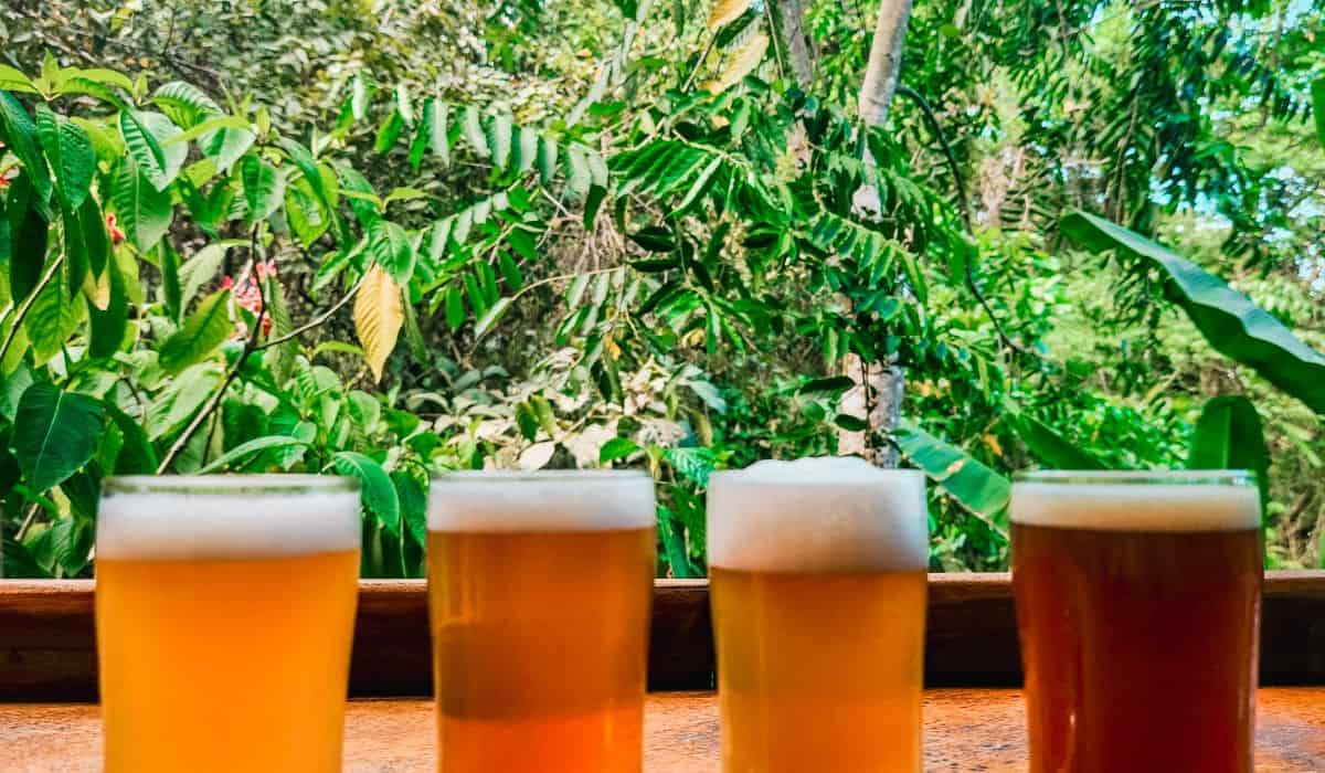 beers lined up with a jungle background