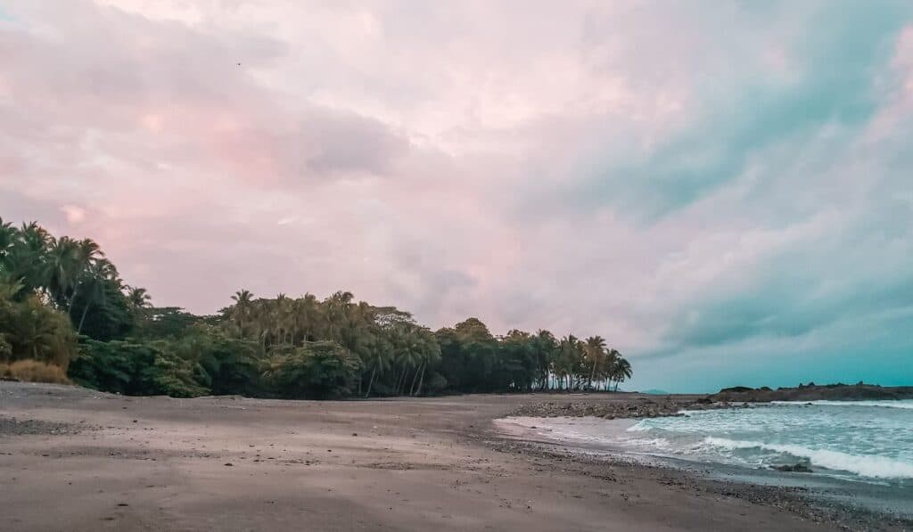beach cabuya