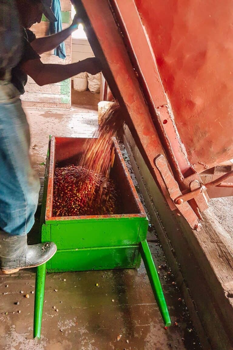 Costa Rica in November: Weather, Where to Visit, and More