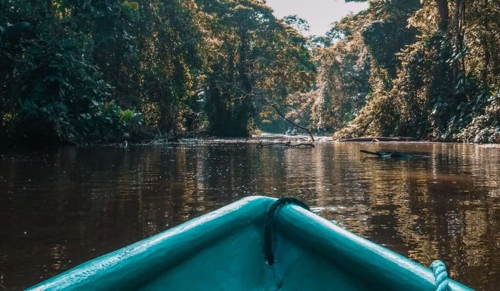 The tip of a blue canoe in Tortuguero on a brown river