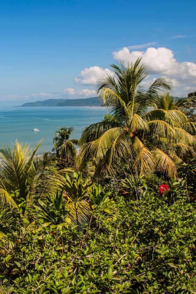 drake bay coastal view