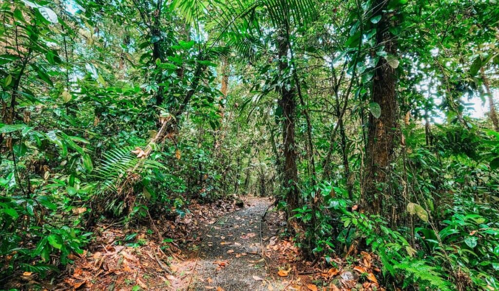 braulio carrillo national park