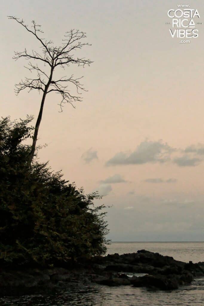 drake bay beach sunset