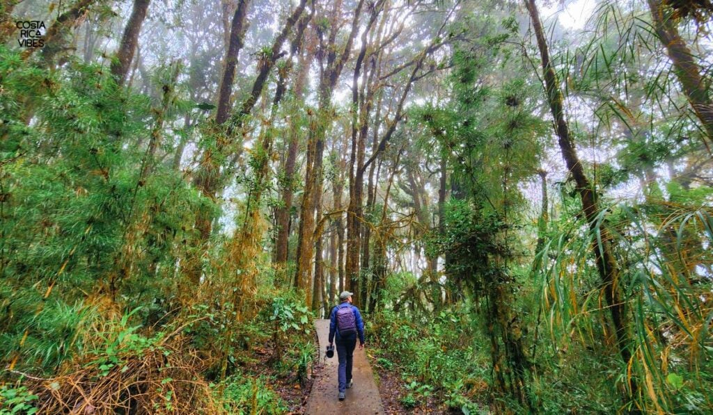 quetzal national park