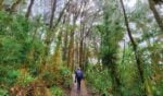 quetzal national park