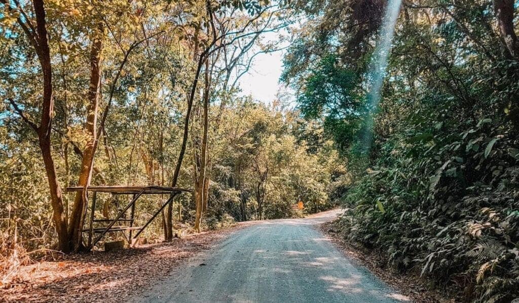 road puerto jimenez