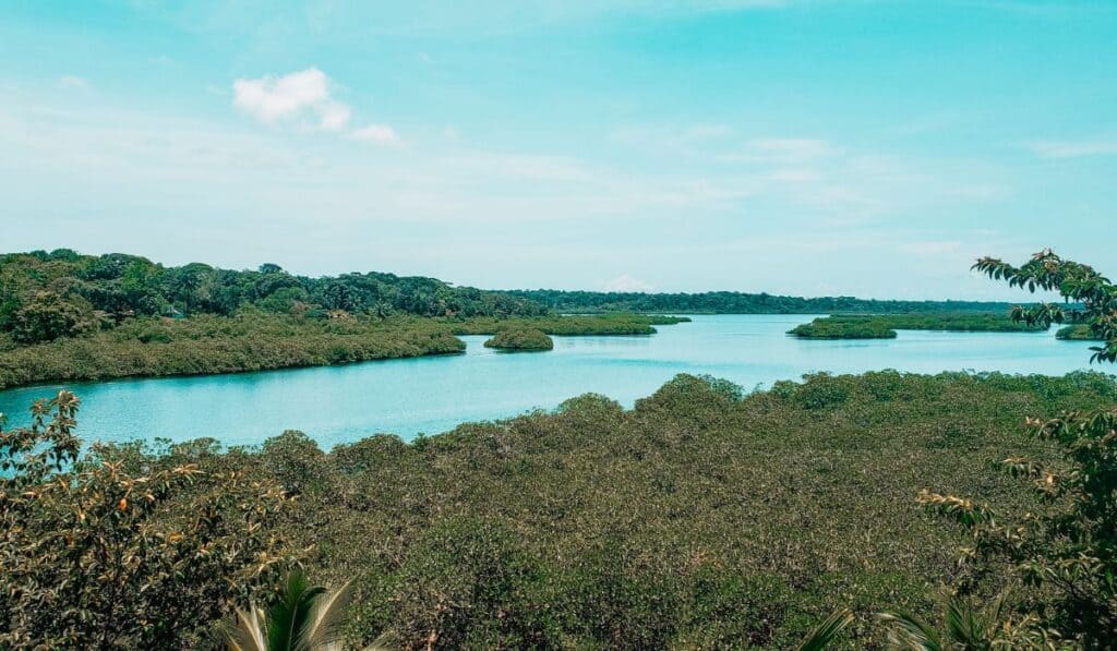 Costa Rica Caribbean Coast Travel Guide: Beaches, Towns & Planning Tips