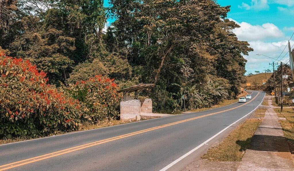 road la fortuna