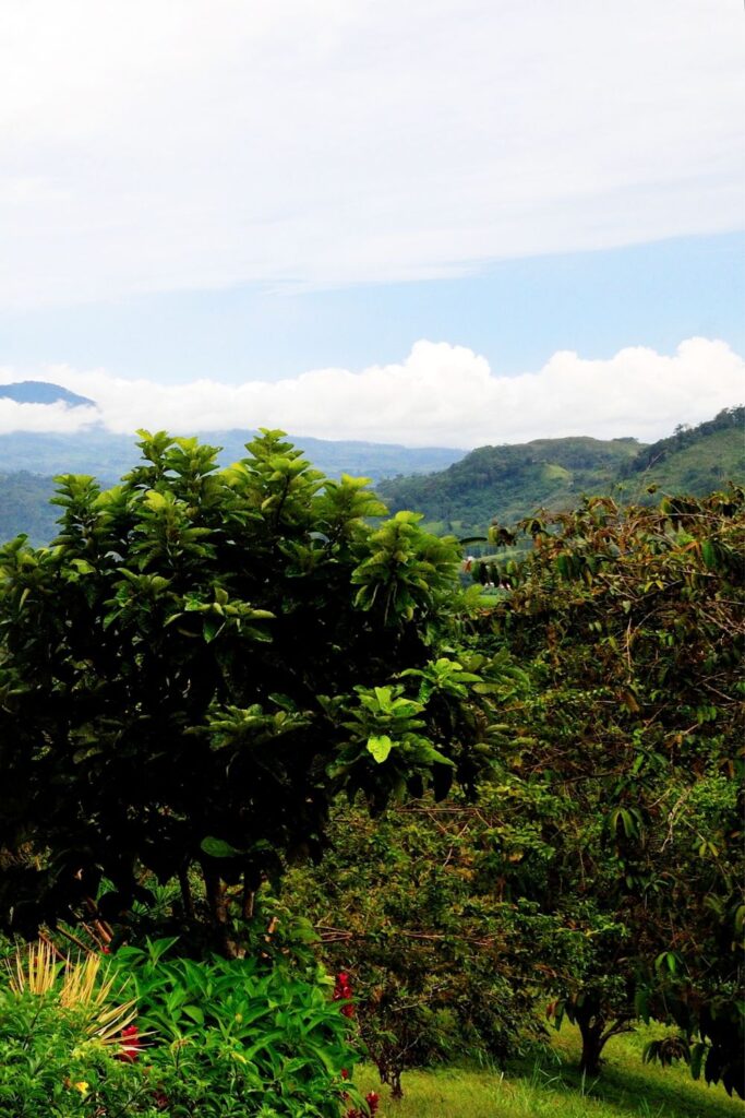 Orosi, Costa Rica: Complete Travel Guide