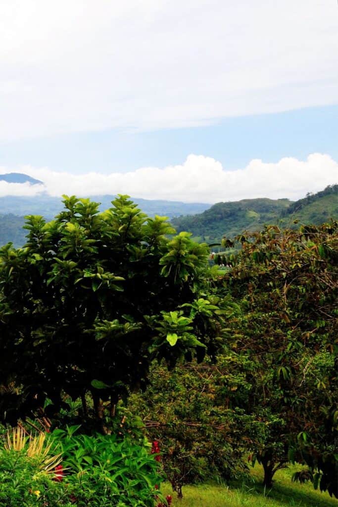 Orosi, Costa Rica: Complete Travel Guide