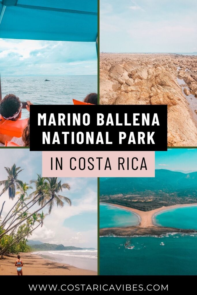 Marino Ballena National Park: Costa Rica's Whale Tail