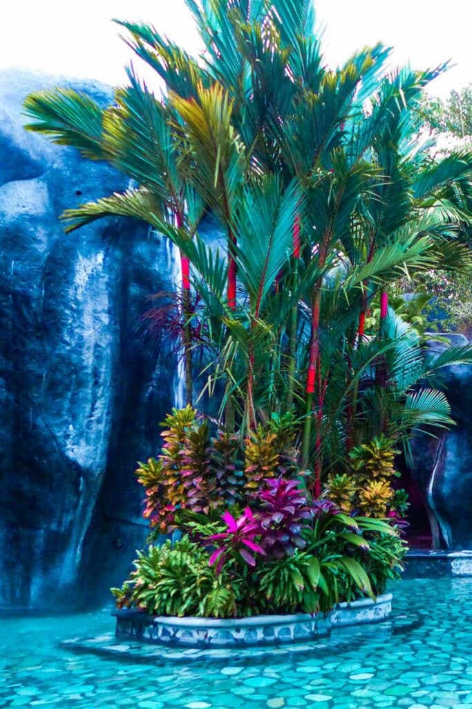 jungle hot spring in la fortuna
