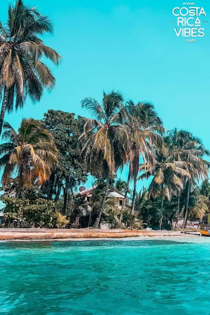 bocas del toro