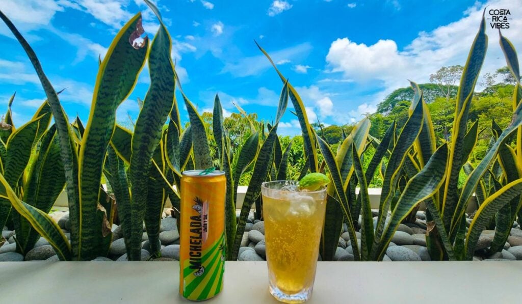 Alcohol in Costa Rica: Prices, Laws, What You Have to Try