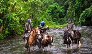 Costa Rica Tours – 8 Guided Vacation Ideas