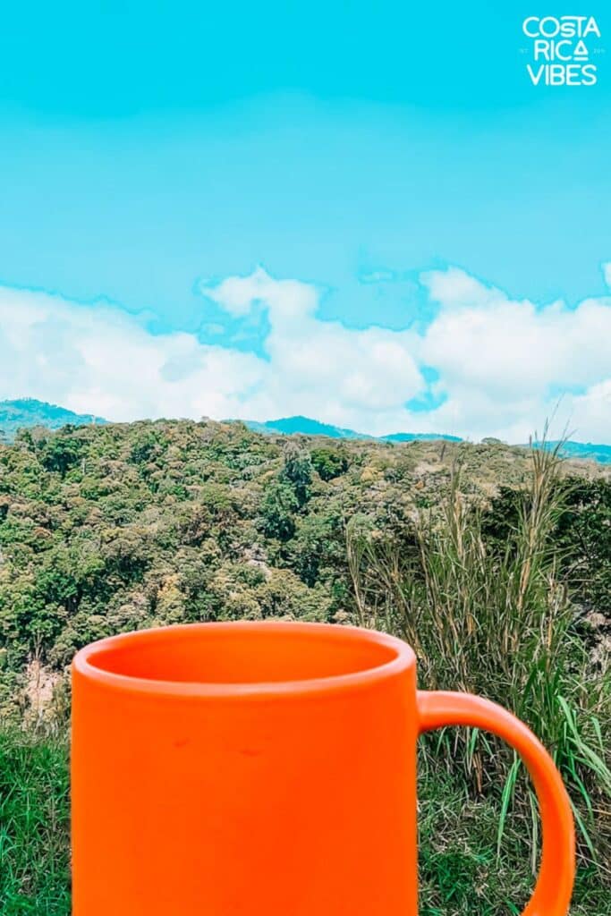 monteverde view coffee