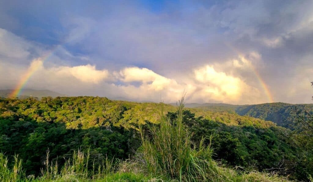 monteverde sunset