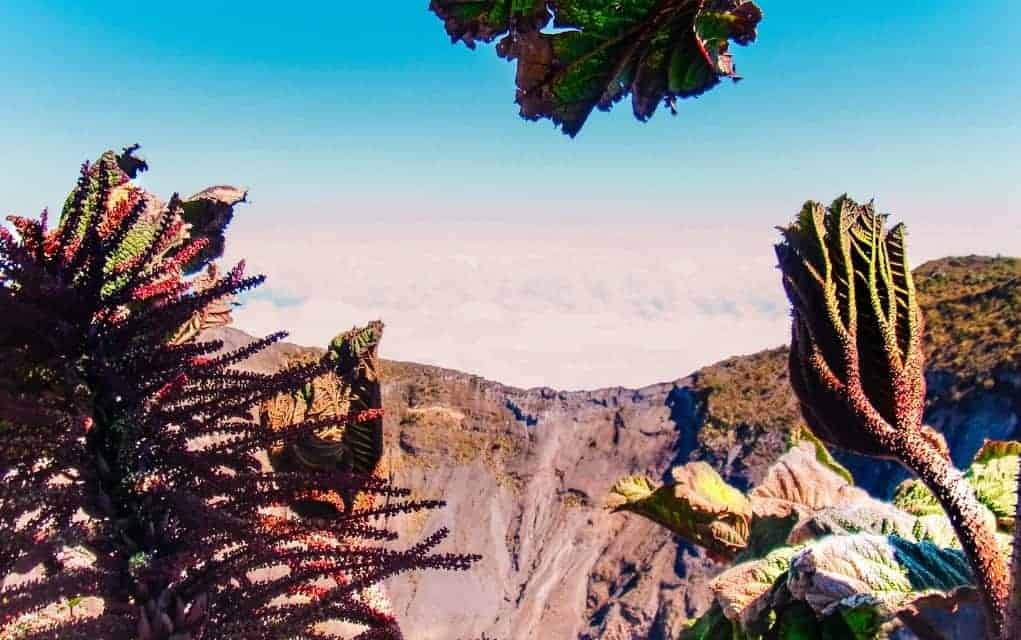 day trips from san jose costa rica