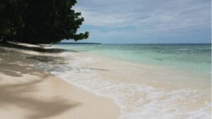 Visit Bocas del Toro beach
