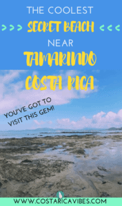 We visited Playa Avellana recently as a spontaneous trip from Tamarindo. It ended up being our favorite experience while in Tamarindo! Here's a complete guide to visitin