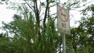 sign in costa rica