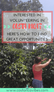 If you've ever thought about volunteering in Costa Rica, you need to read this! Click to find out great opportunities for all types of volunteer work. #costaRica #volunteer