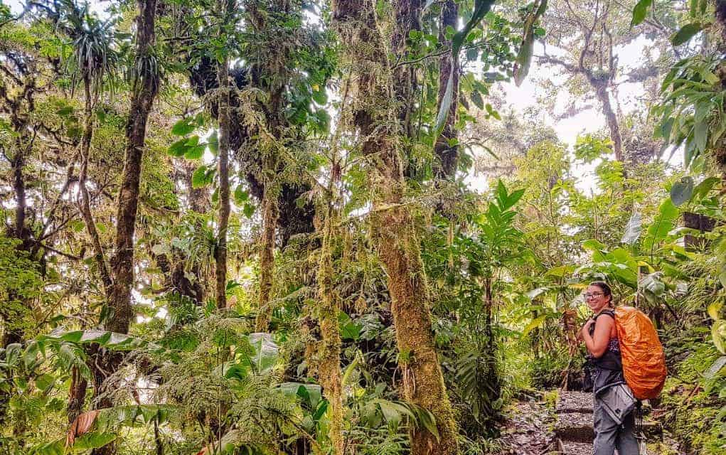 monteverde cloud forest