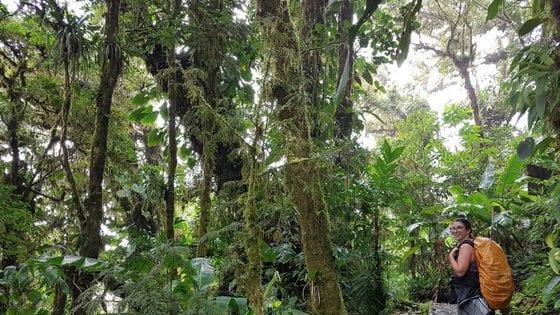 Volunteer in Costa Rica - Find Opportunities