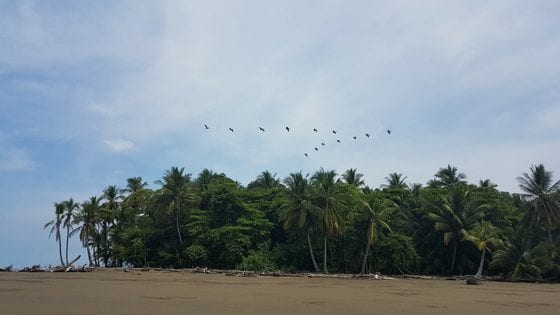 Uvita costa rica