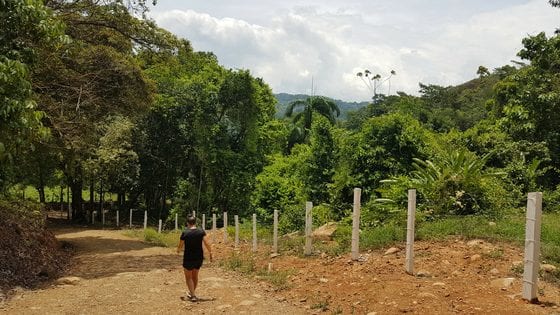 Nauyaca waterfalls hike