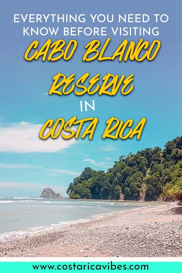 Cabo Blanco Reserve in Costa Rica is the perfect place to hike near Montezuma. Find out everything you need to know for the perfect visit. #CostaRica #NationalPark