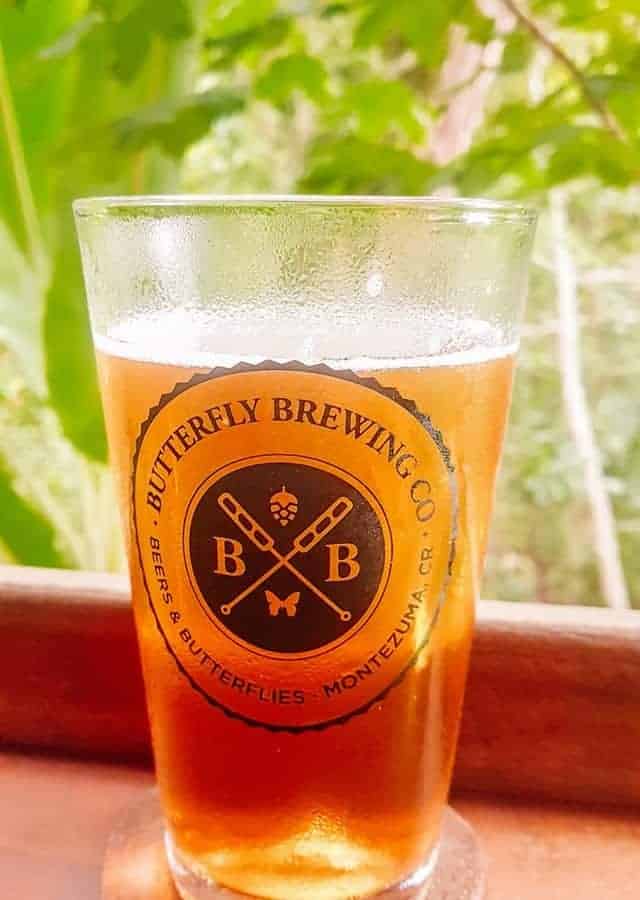 butterfly brewing