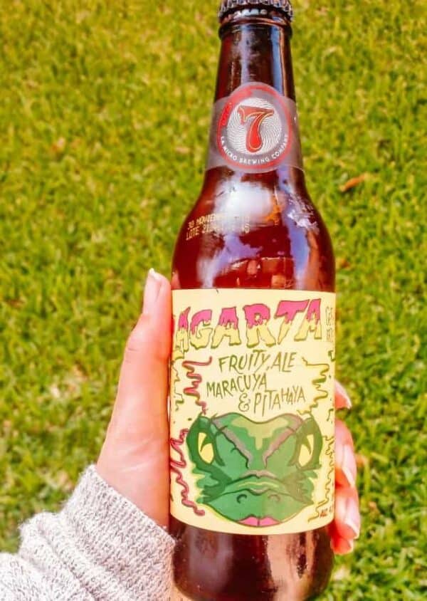 The Best Beer in Costa Rica (Including Craft)