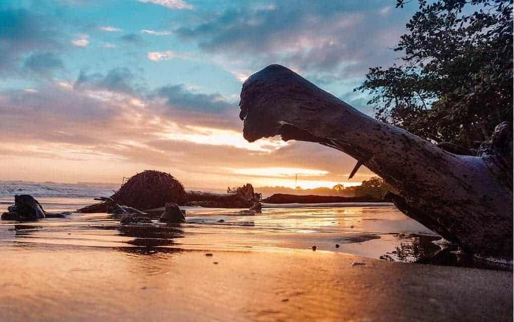 sunrise in cahuita