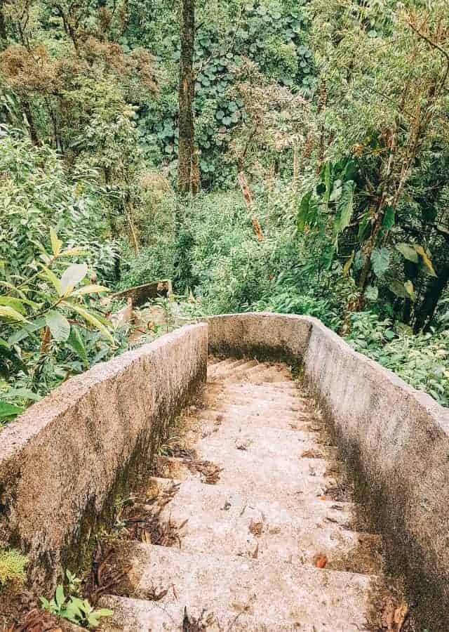 catarata del toro walk