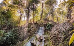 King Louis Waterfall – Day Trip Near Puerto Jimenez