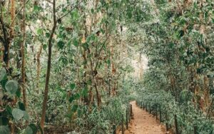 carara national park